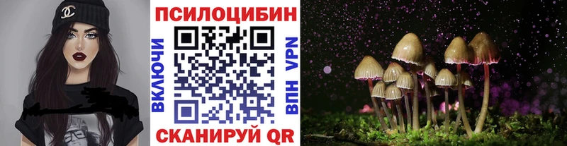 купить наркоту  Питкяранта  мориарти клад  Галлюциногенные грибы мицелий 